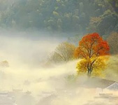 晨雾