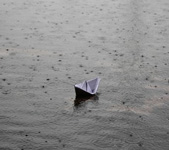 夏雨