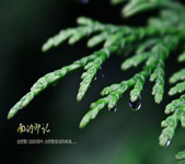 雨的印记