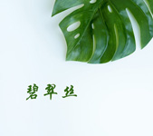 碧翠丝