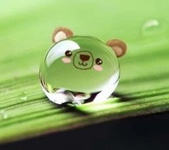 心情物语